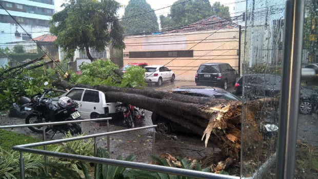 Na RMR a chuva causou muita destruição.