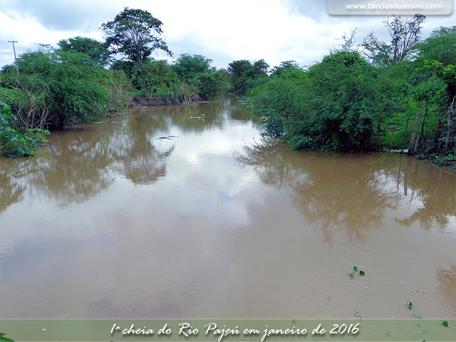 Foto: Tárcio Oliveira